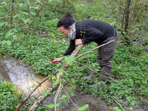 PXL 20260411 171759734.PORTRAIT