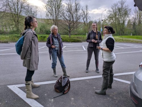 PXL 20260411 180349183.MP 