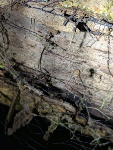 PXL 20260411 185310581.PORTRAIT.ORIGINAL