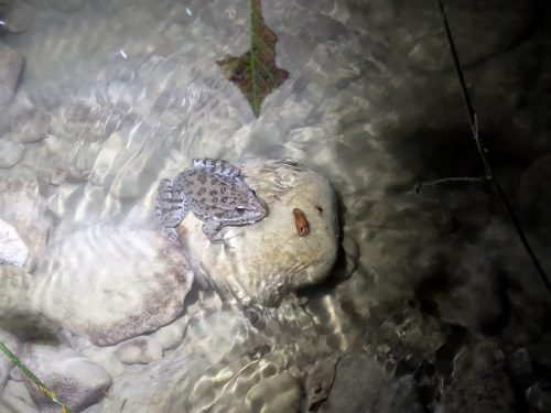 PXL 20260411 191444689.PORTRAIT.ORIGINAL