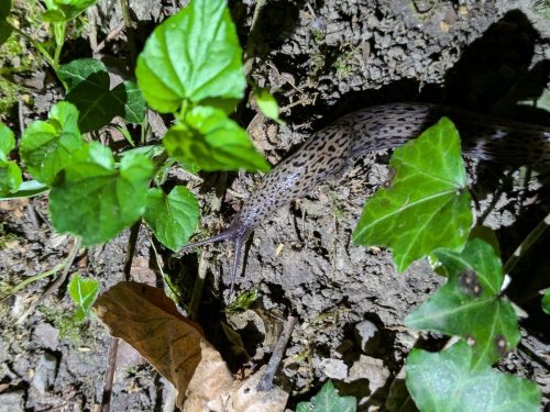 PXL 20260411 195956263.PORTRAIT.ORIGINAL